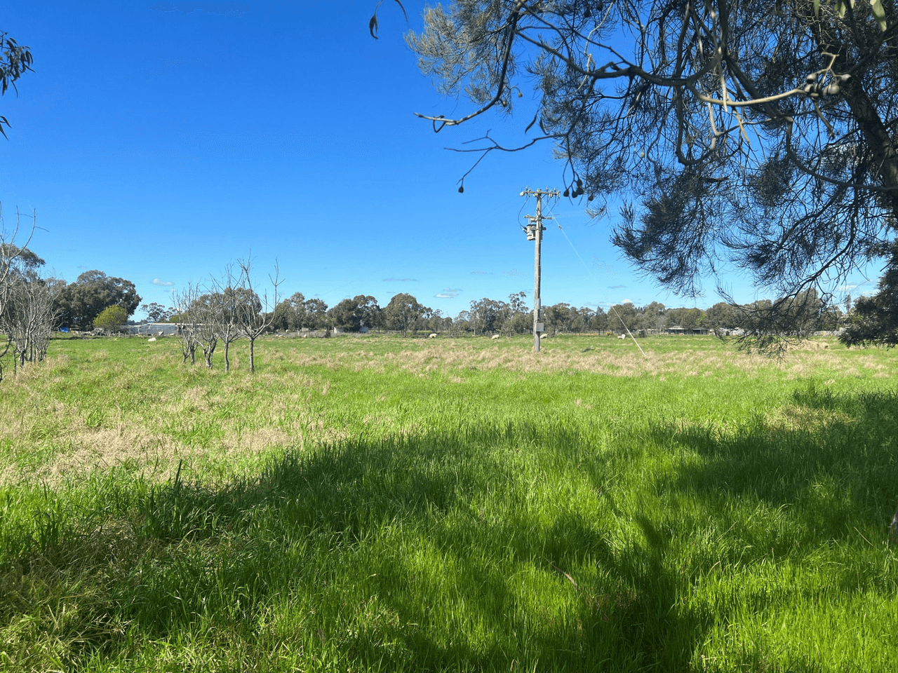 126 Webb Siding Road, NARROMINE, NSW 2821