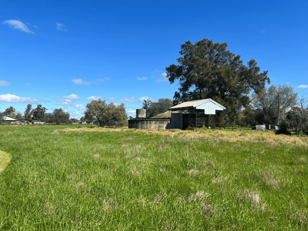 126 Webb Siding Road, NARROMINE, NSW 2821