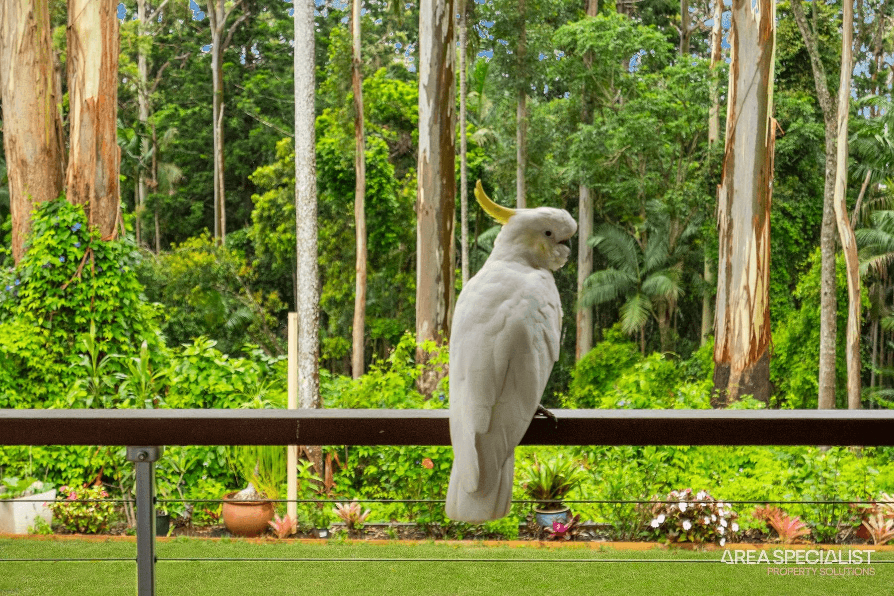 30 Wongawallan Road, Tamborine Mountain, QLD 4272