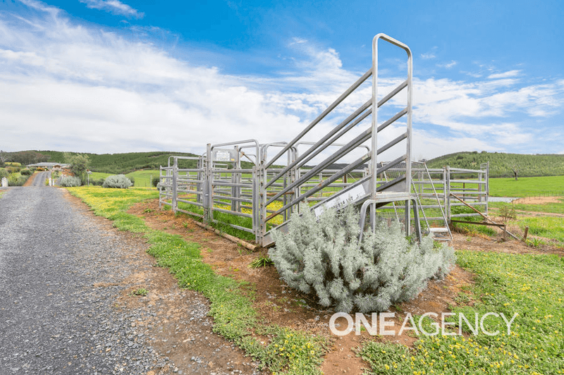 3823 TUMBARUMBA ROAD, CARABOST, NSW 2650