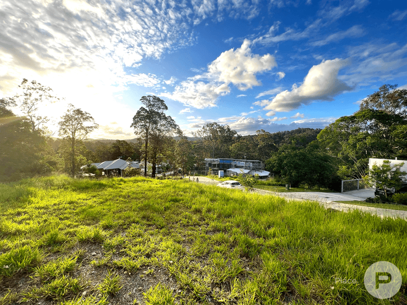 39 Mount Nebo Road, THE GAP, QLD 4061