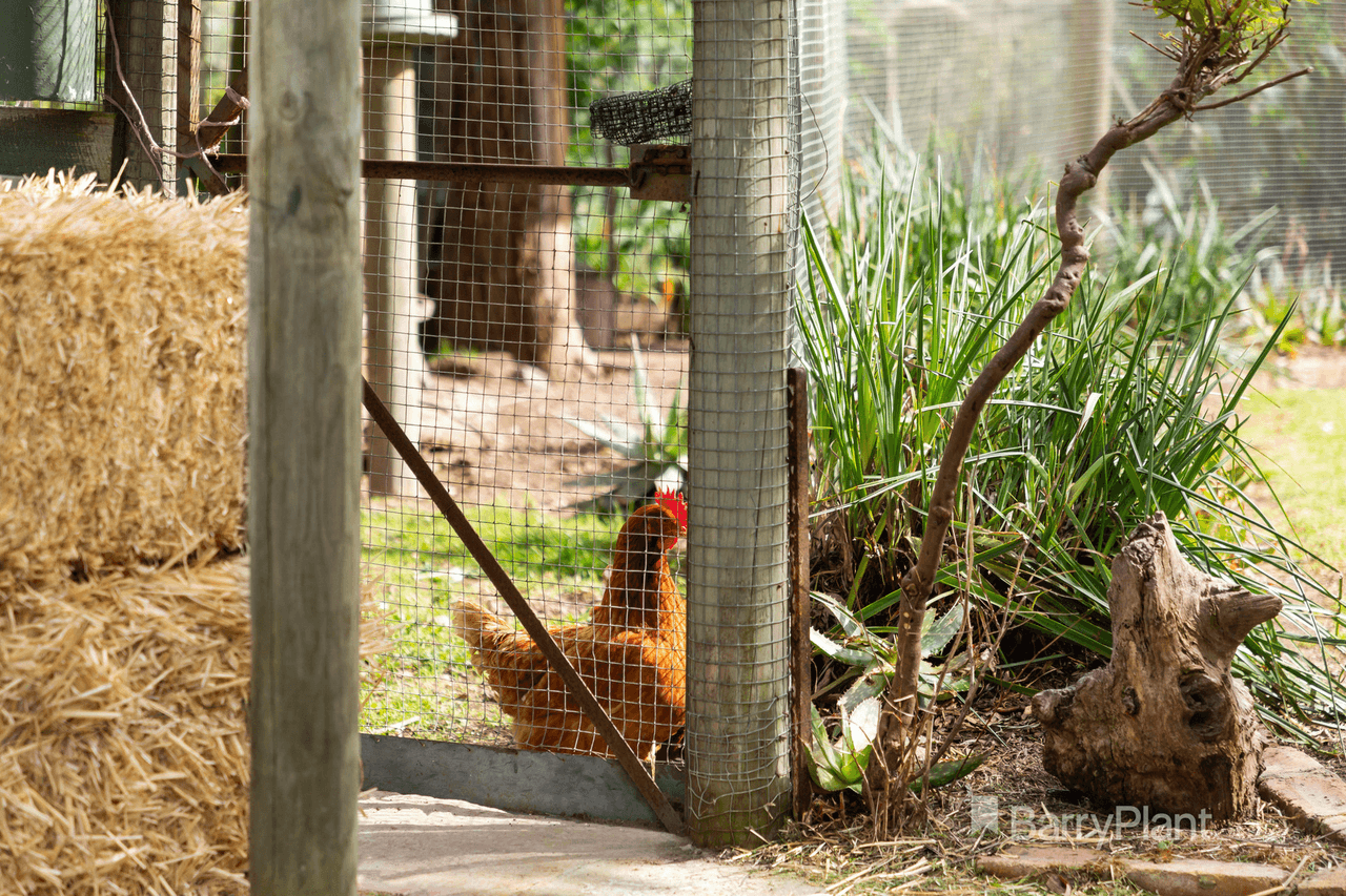 53 North Oatlands Road, Yarrambat, VIC 3091