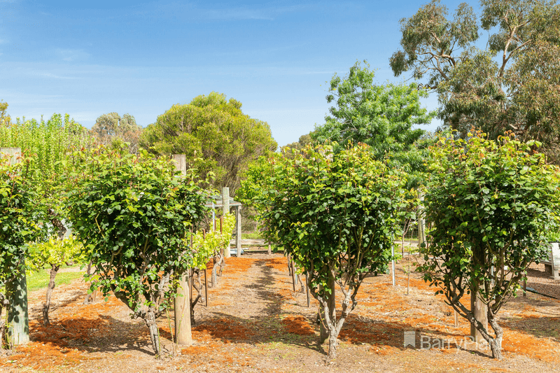 53 North Oatlands Road, Yarrambat, VIC 3091