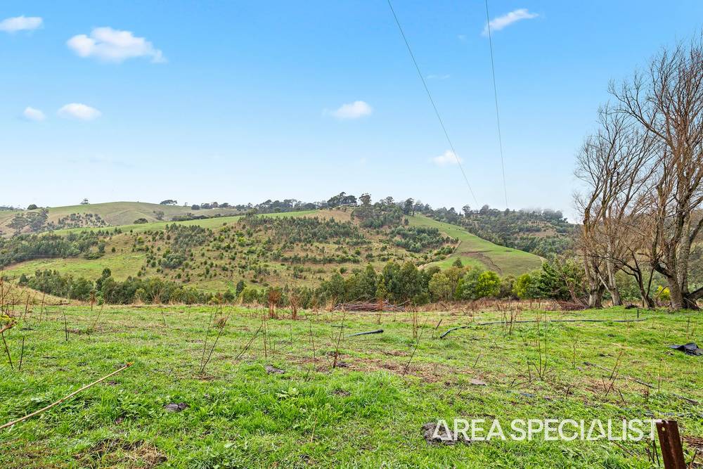821 Mountain View Road, Mountain View, VIC 3988