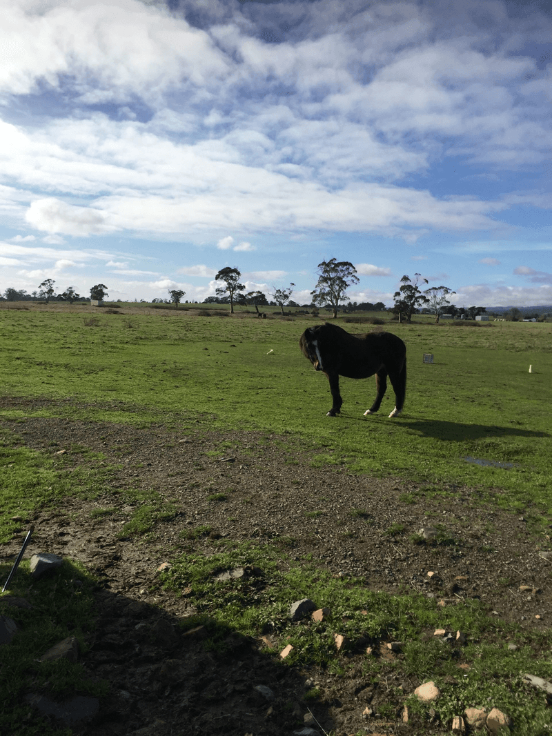 Lot 2 Jumbuk Road, Yinnar, VIC 3869