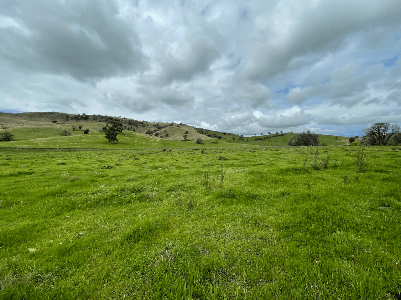 18 Reno Road, GUNDAGAI, NSW 2722