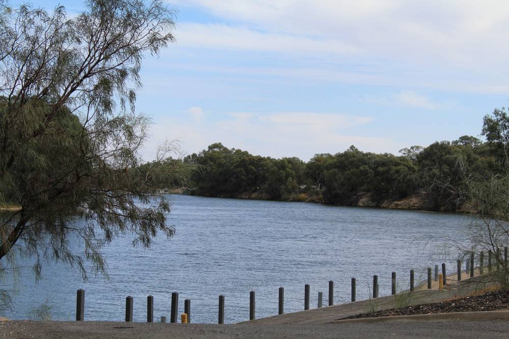 7 Riverview Drive, Dareton, NSW 2717