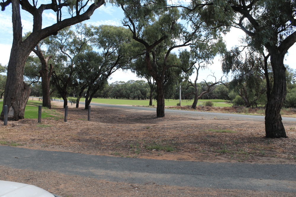 7 Riverview Drive, Dareton, NSW 2717