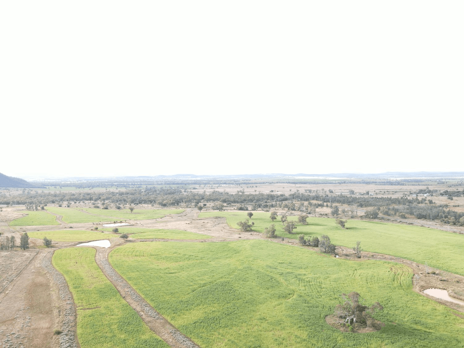 "Geebung" Gwydir Highway, GRAVESEND, NSW 2401