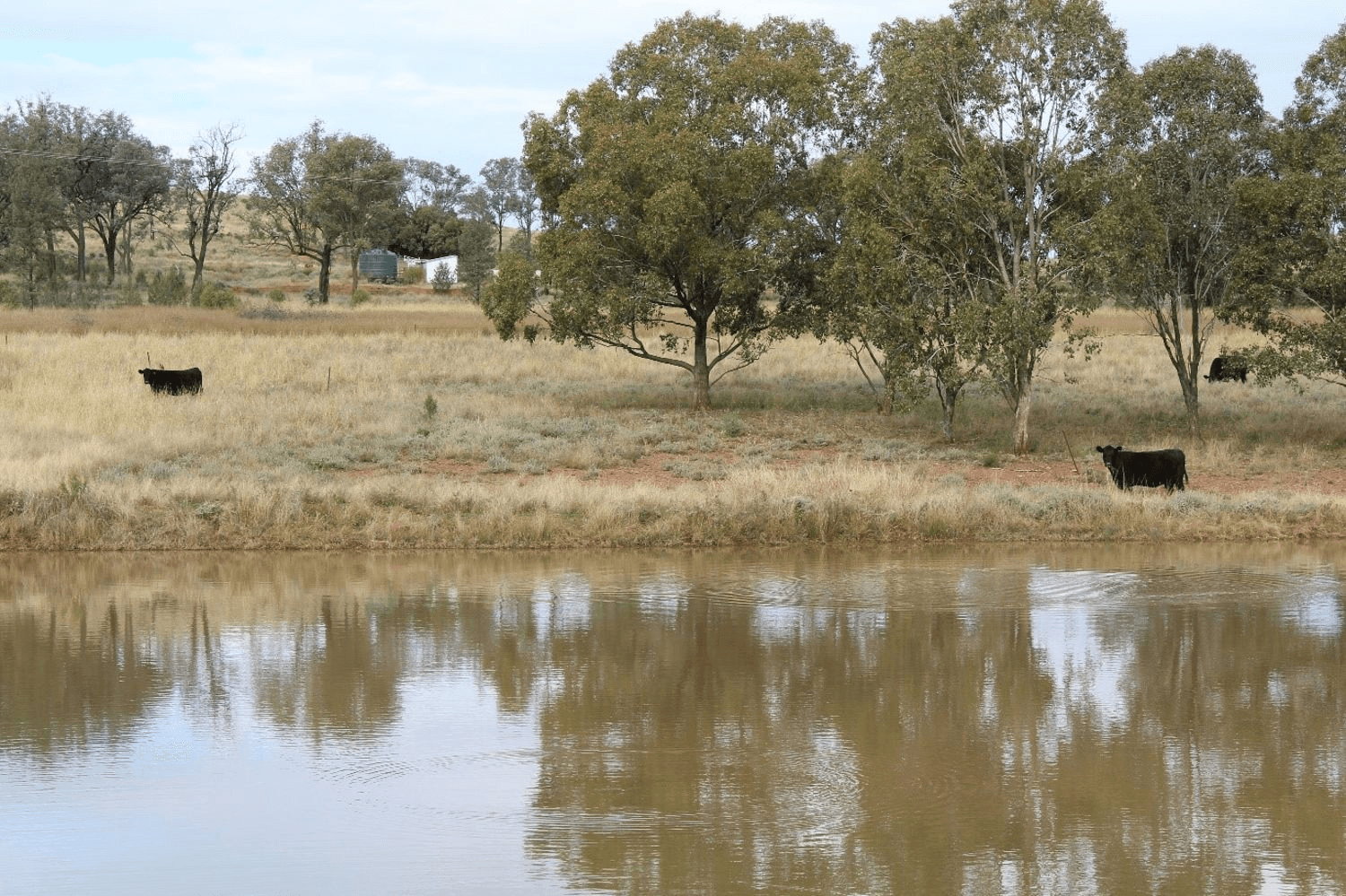 "Geebung" Gwydir Highway, GRAVESEND, NSW 2401