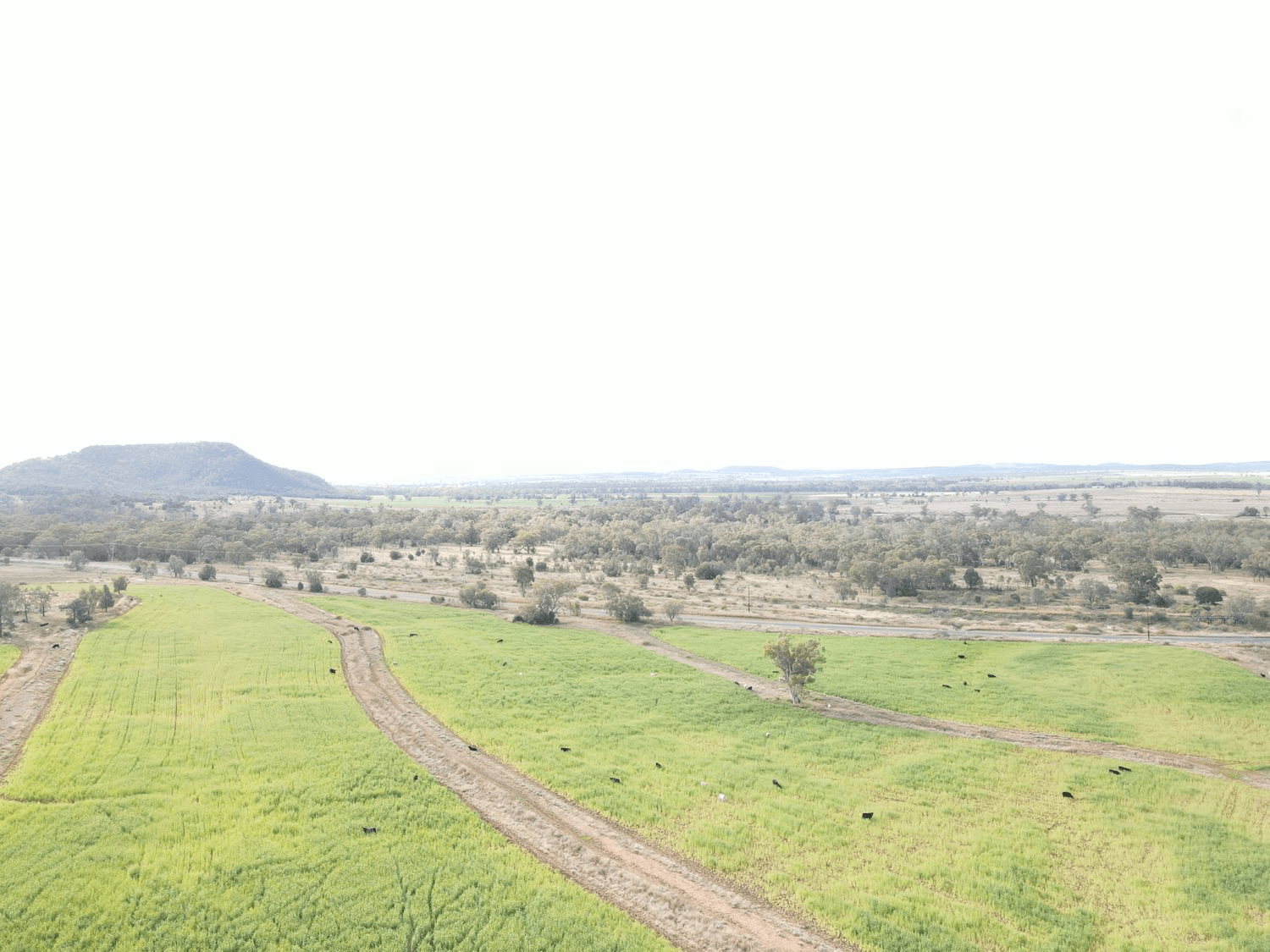 "Geebung" Gwydir Highway, GRAVESEND, NSW 2401