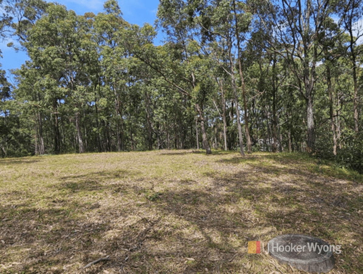 11 Lexington Avenue, Wadalba, NSW 2259