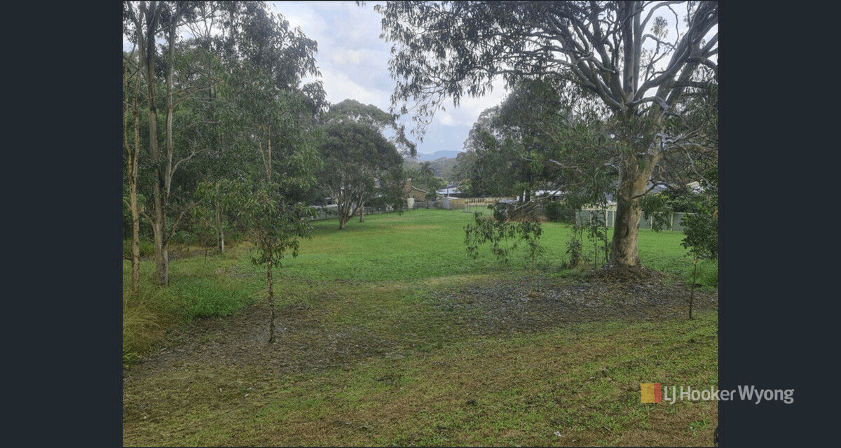 11 Lexington Avenue, Wadalba, NSW 2259