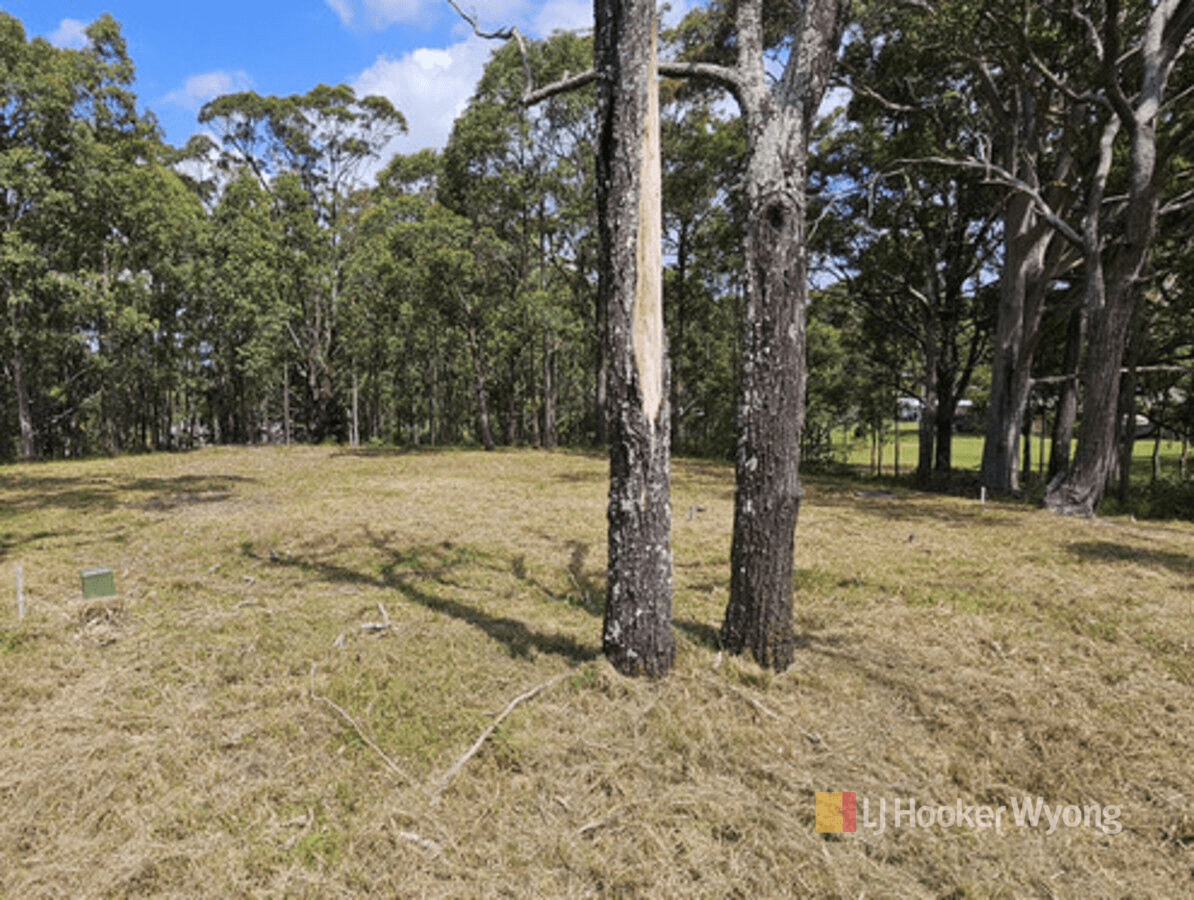 11 Lexington Avenue, Wadalba, NSW 2259