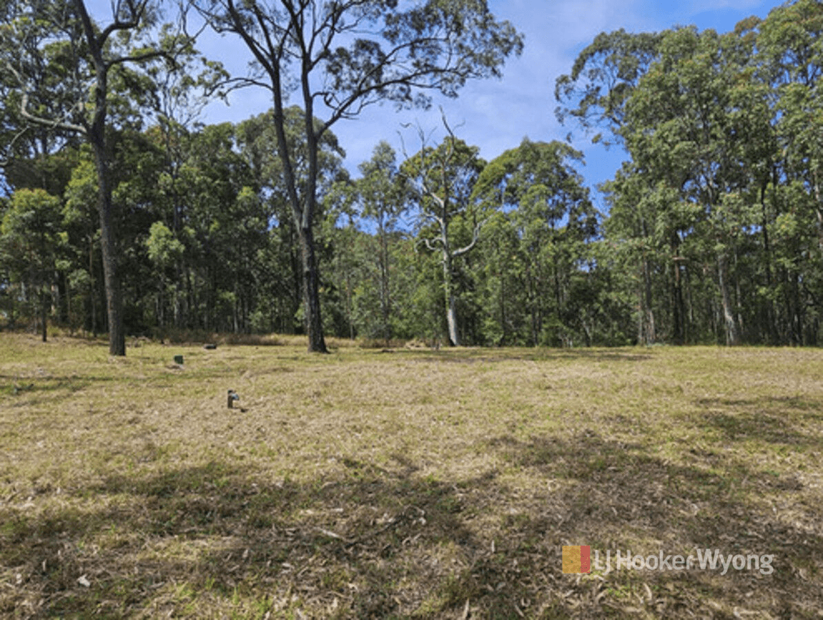 11 Lexington Avenue, Wadalba, NSW 2259