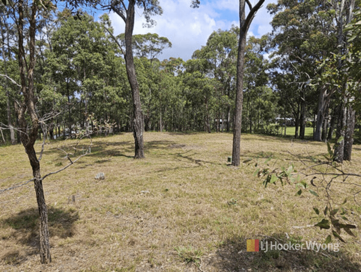 11 Lexington Avenue, Wadalba, NSW 2259