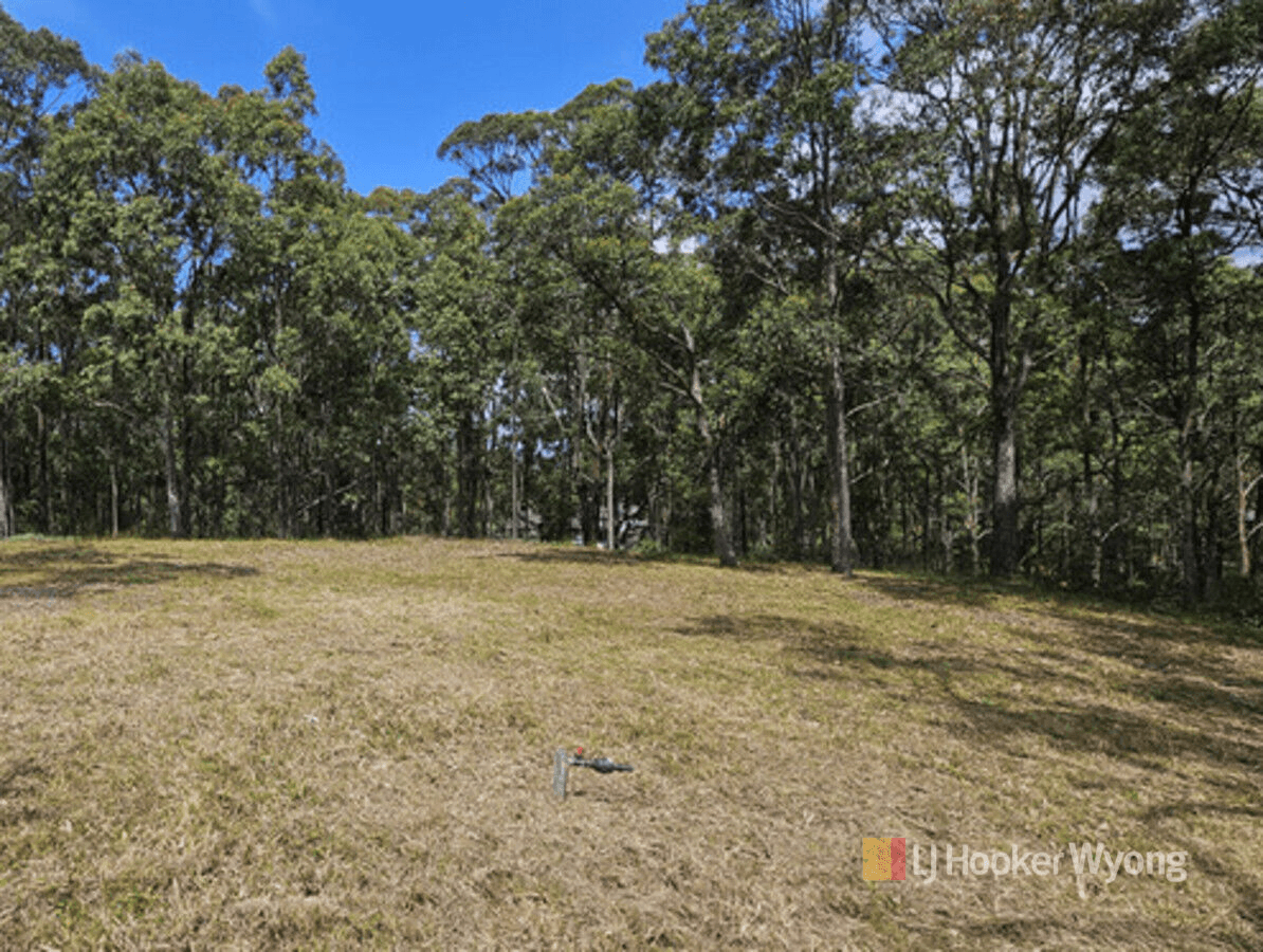 11 Lexington Avenue, Wadalba, NSW 2259