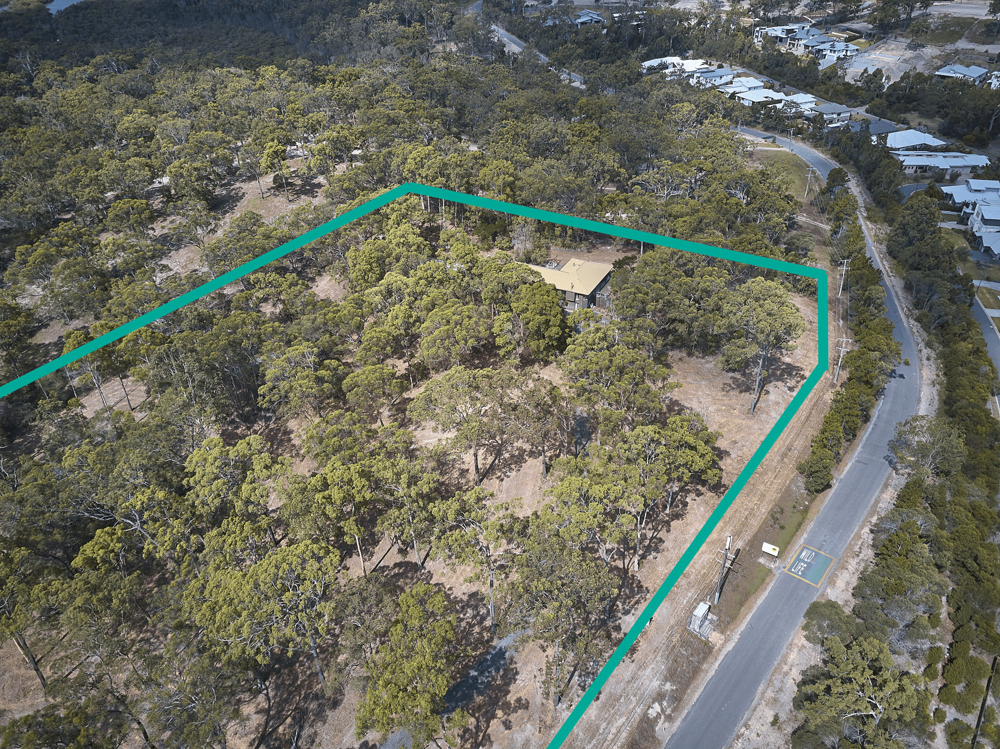 169 Colman Road, COOMERA, QLD 4209