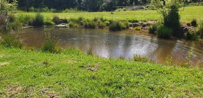 7630 Armidale Rd, Billys Creek, NSW 2453