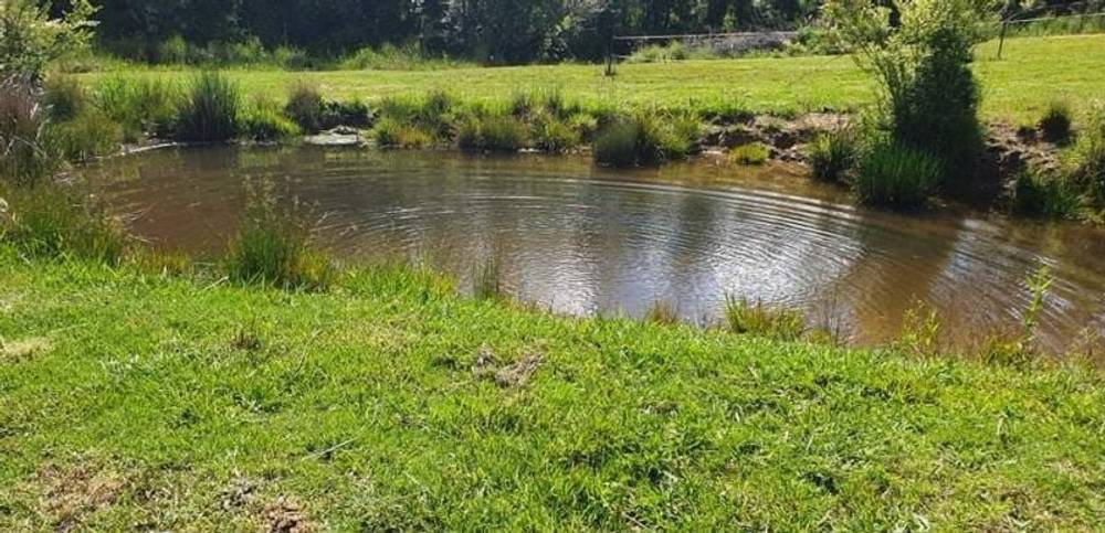 7630 Armidale Rd, Billys Creek, NSW 2453