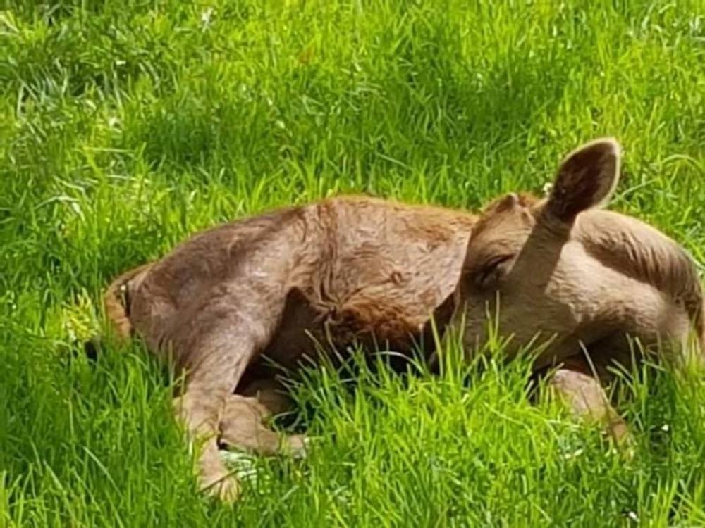 7630 Armidale Rd, Billys Creek, NSW 2453