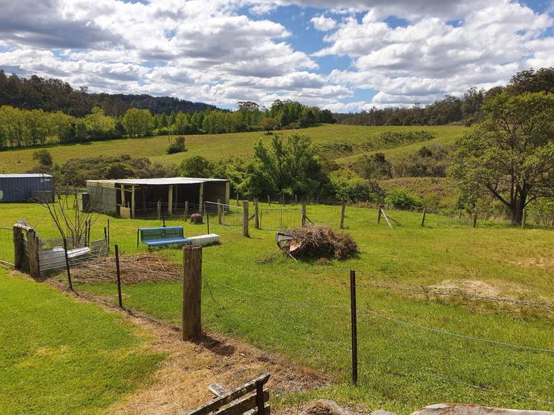 7630 Armidale Rd, Billys Creek, NSW 2453