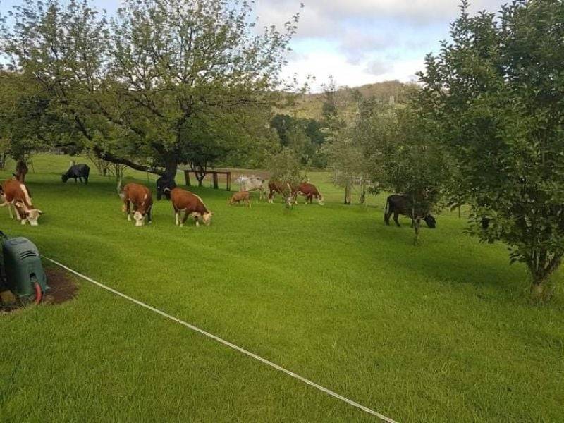 7630 Armidale Rd, Billys Creek, NSW 2453