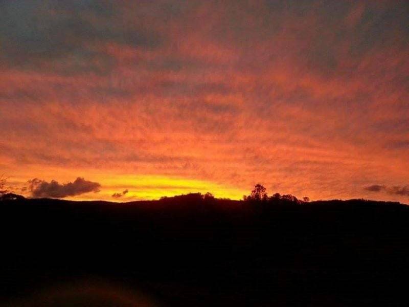 7630 Armidale Rd, Billys Creek, NSW 2453