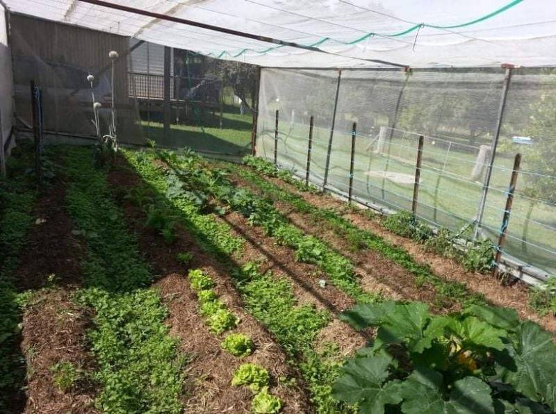 7630 Armidale Rd, Billys Creek, NSW 2453