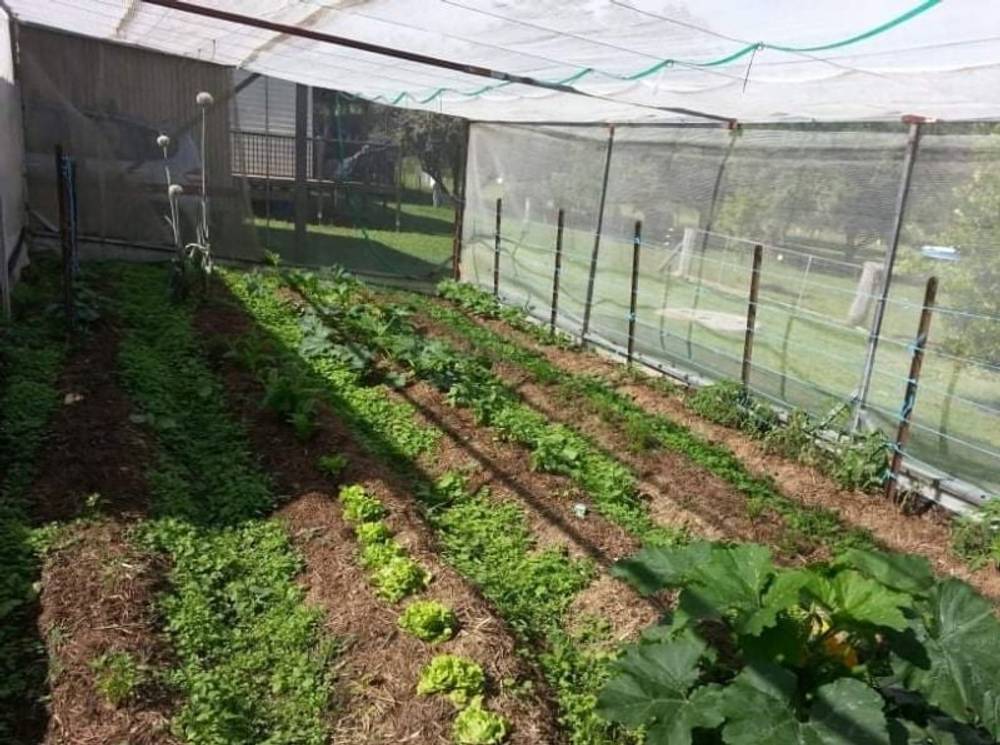 7630 Armidale Rd, Billys Creek, NSW 2453