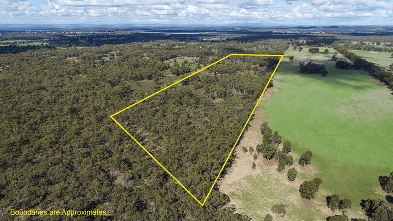 Lot 1 Buffalo Swamp Road, WHROO, VIC 3612