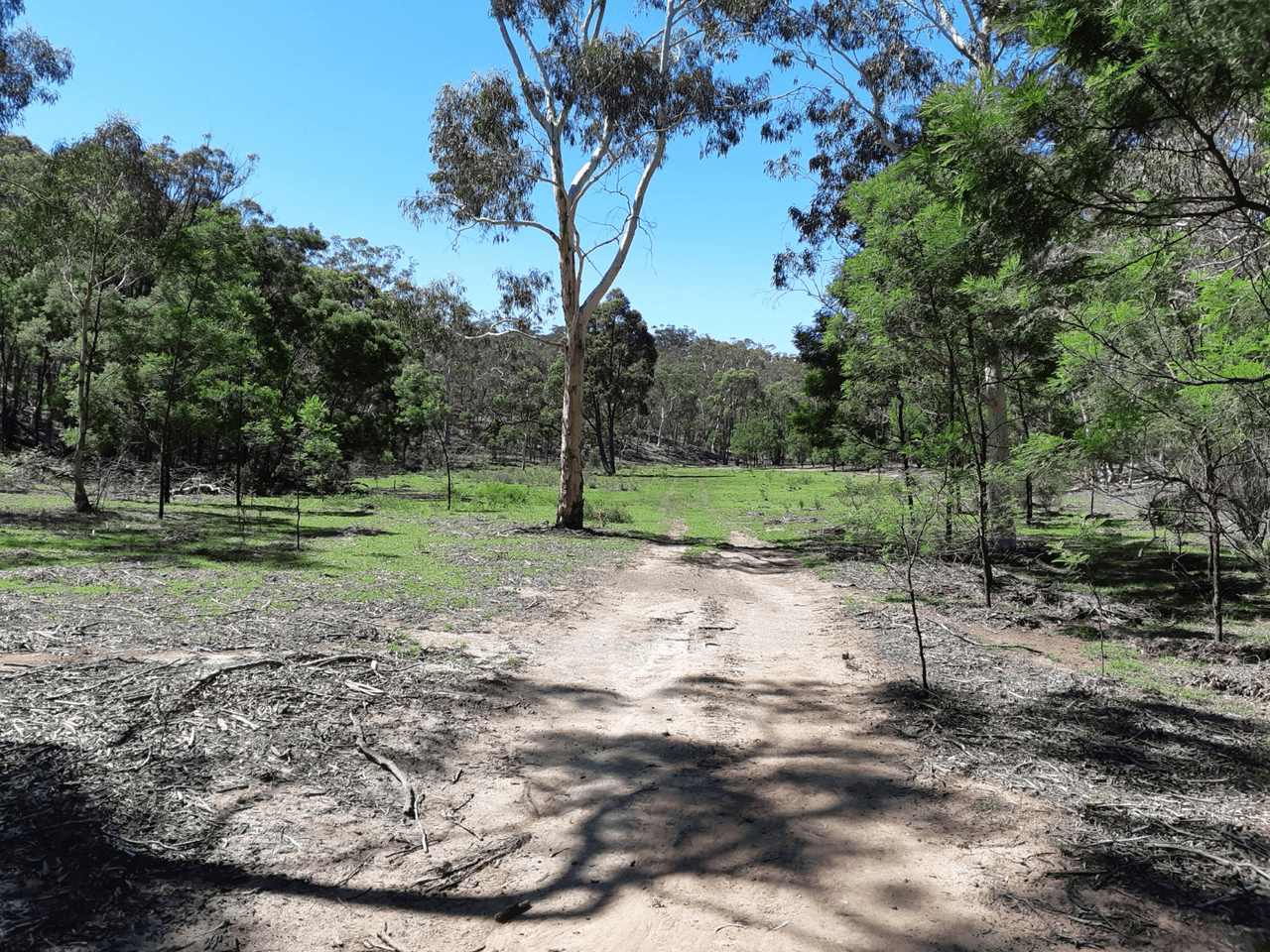 Lot 11 Timberlight Road, WINDELLAMA, NSW 2580