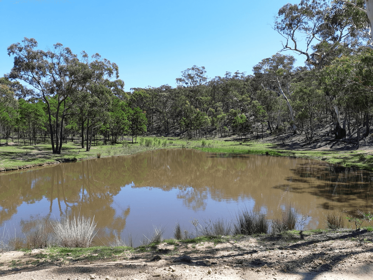 Lot 11 Timberlight Road, WINDELLAMA, NSW 2580