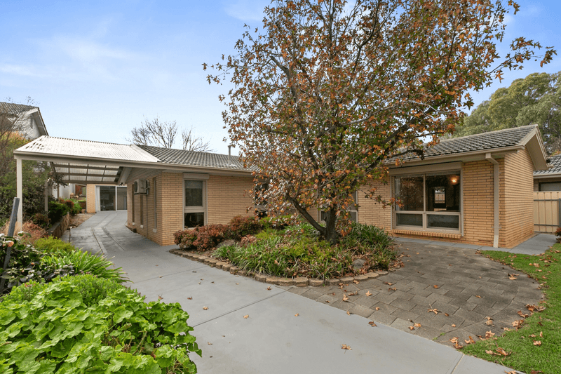 3 Christopher Street, DERNANCOURT, SA 5075