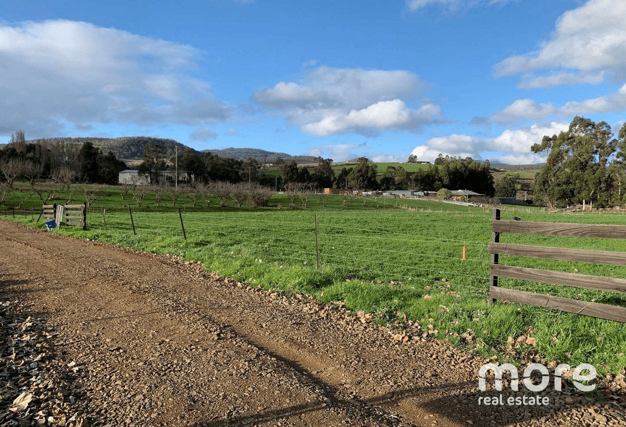 2203 Lyell Highway, HAYES, TAS 7140