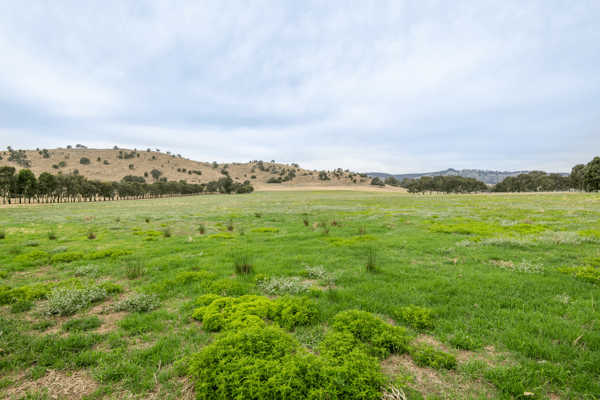 799 Balmattum Road, Balmattum, VIC 3666