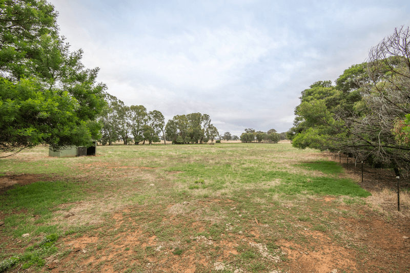 799 Balmattum Road, Balmattum, VIC 3666