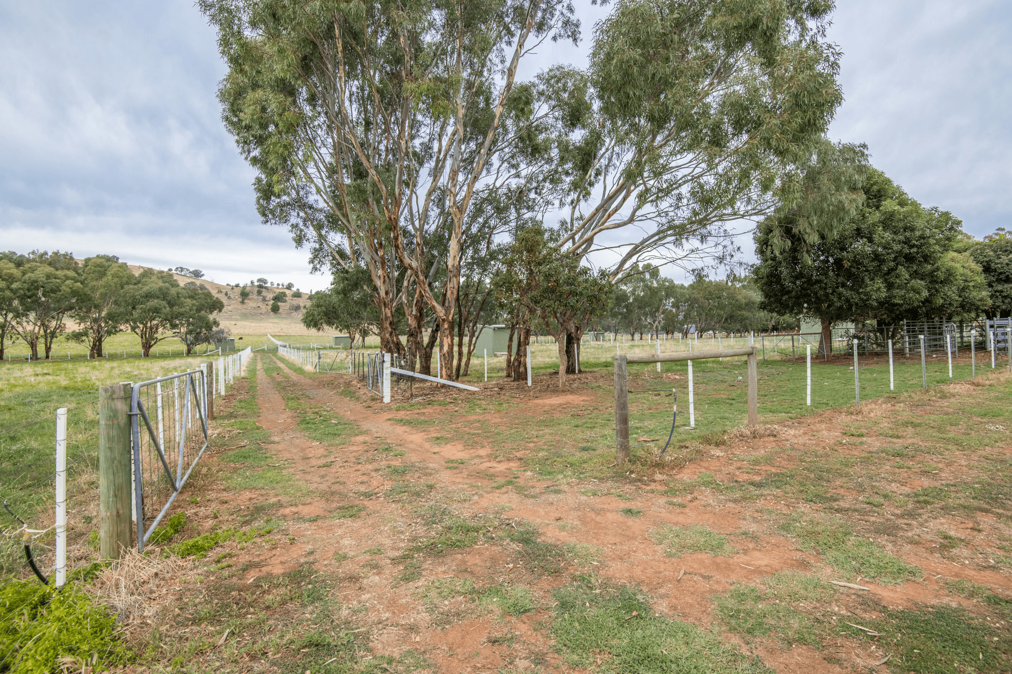 799 Balmattum Road, Balmattum, VIC 3666