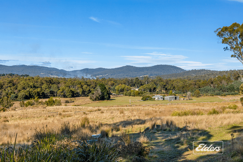 34  Youngs Road, Mount Direction, TAS 7252