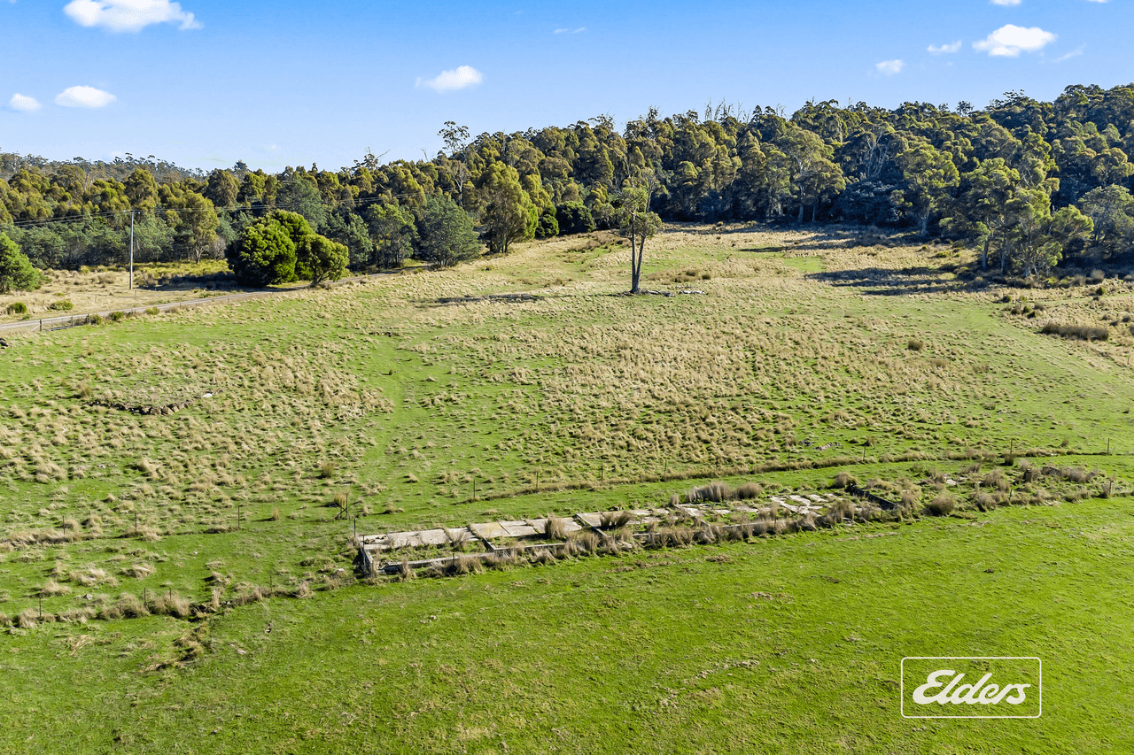 34  Youngs Road, Mount Direction, TAS 7252