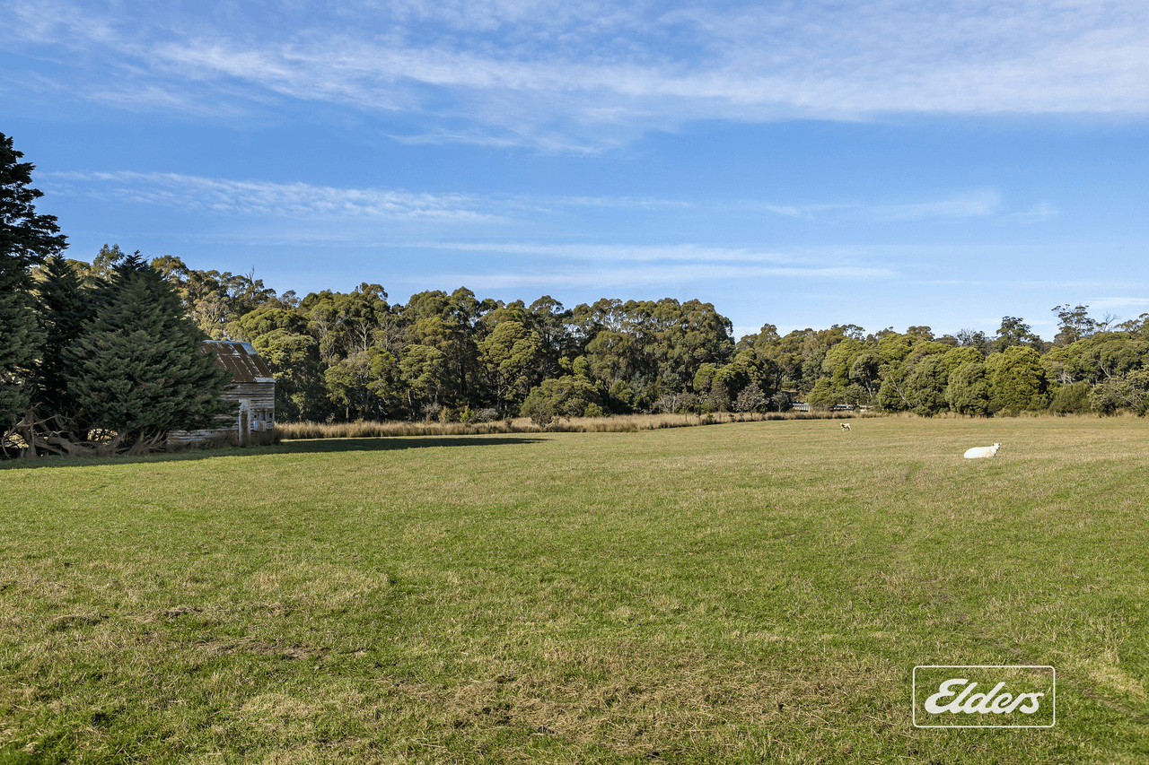 34  Youngs Road, Mount Direction, TAS 7252