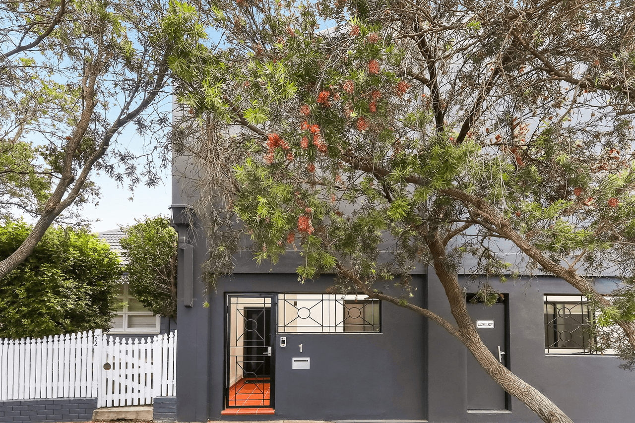 1/24 National Street, Leichhardt, NSW 2040