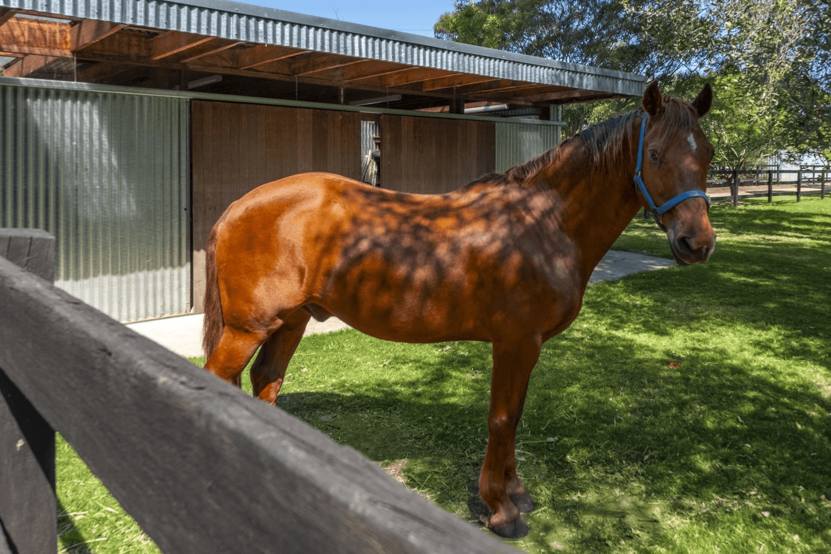 63 Cordners Lane, Cornwallis, NSW 2756