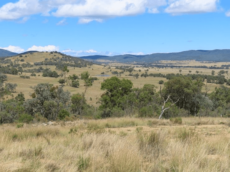 Lot 1 Hindmarsh Road, BALLANDEAN, QLD 4382