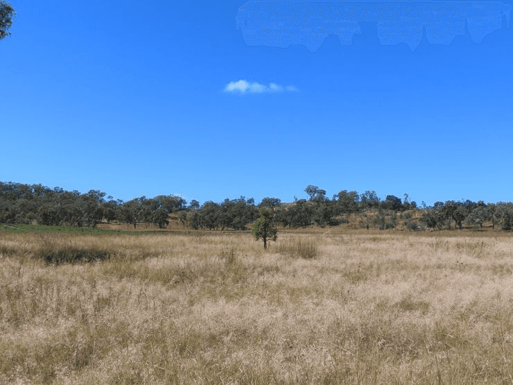 Lot 1 Hindmarsh Road, BALLANDEAN, QLD 4382