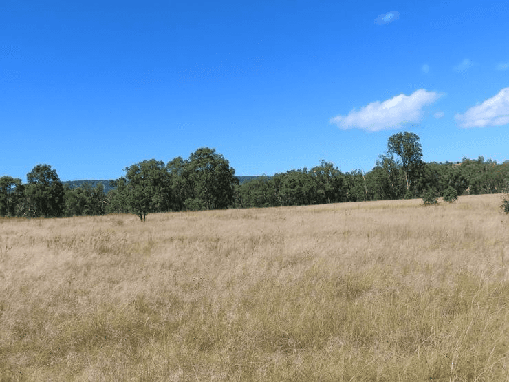 Lot 1 Hindmarsh Road, BALLANDEAN, QLD 4382