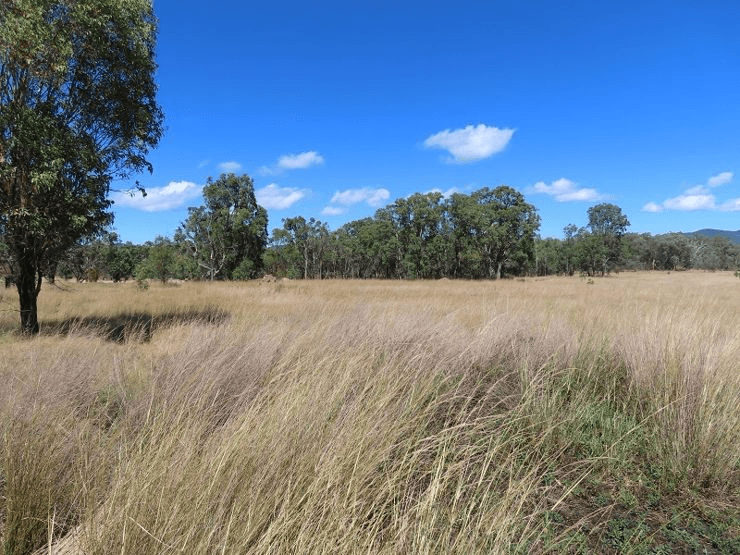 Lot 1 Hindmarsh Road, BALLANDEAN, QLD 4382