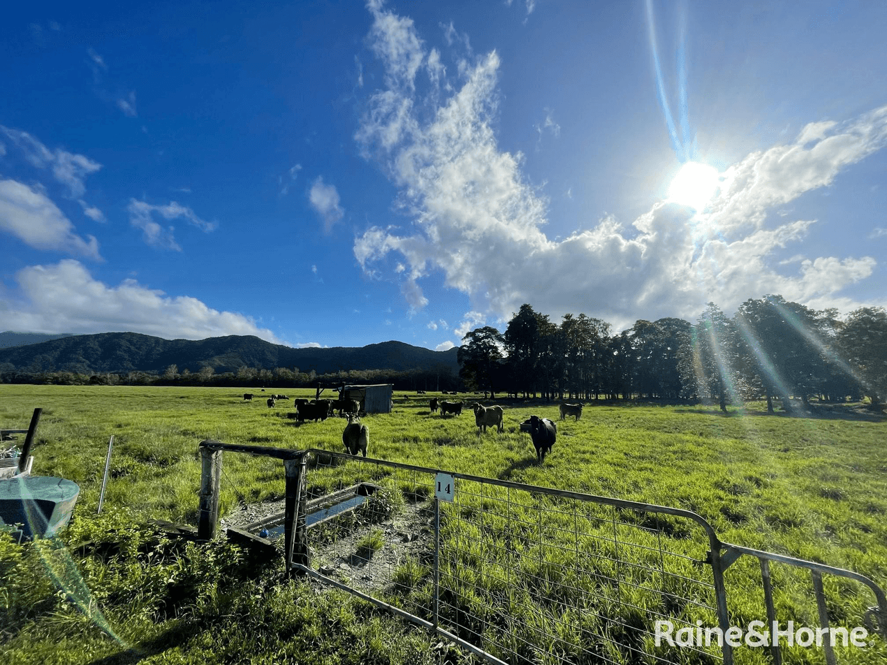 83 Marys Lane, FOREST CREEK, QLD 4873