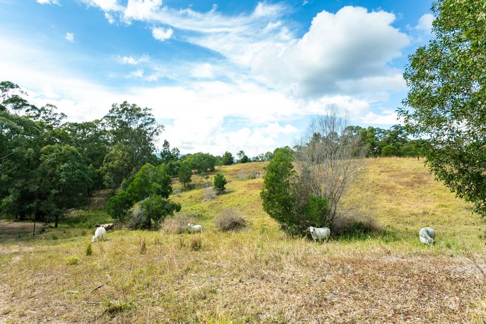Lot 3 Burridge Road, TANDUR, QLD 4570