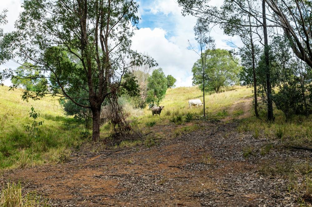 Lot 3 Burridge Road, TANDUR, QLD 4570